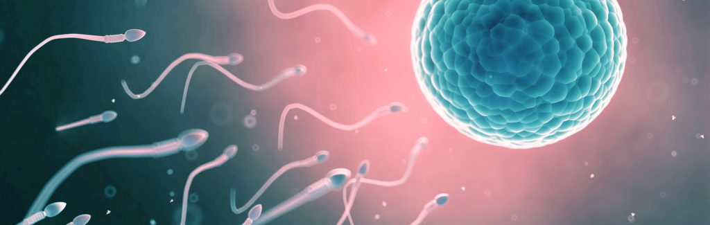 Fertilidad