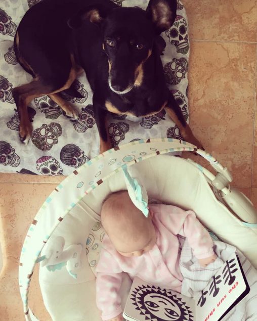 Mi perrita y mi bebé
