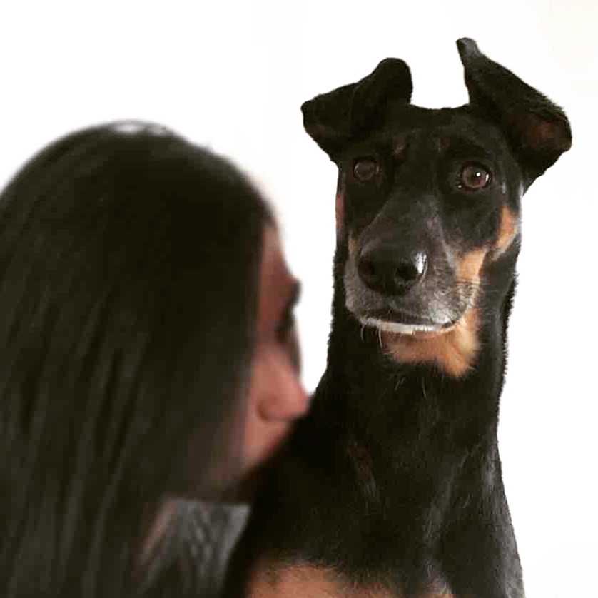 Mi perrhija
