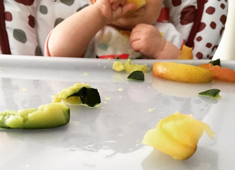 Tipos de alimentación complementaria